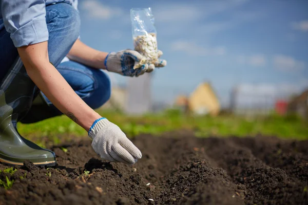 agricultura ecologica Tulcea